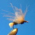 mouche